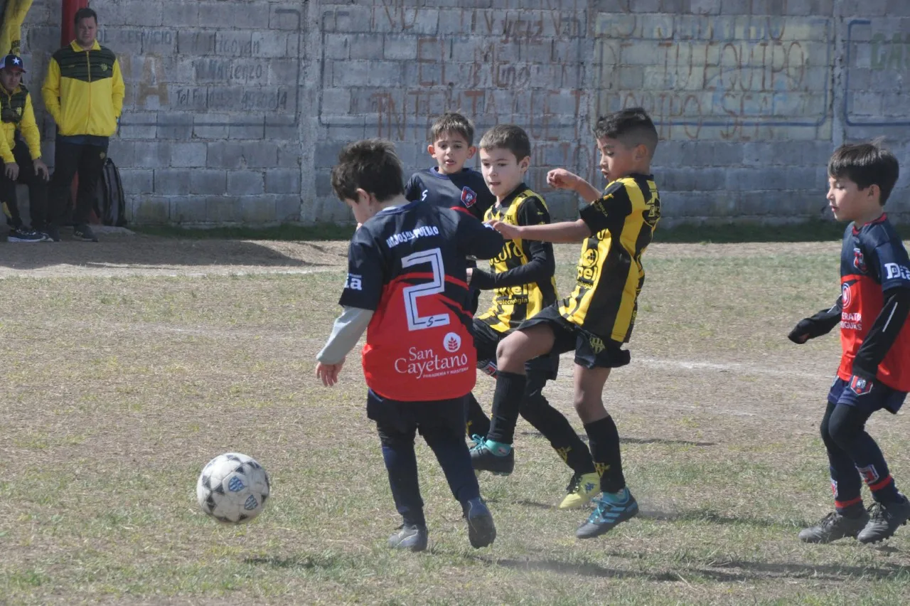 Centro Social Deportivo Municipal Acción Juvenil Socialeritas (56)