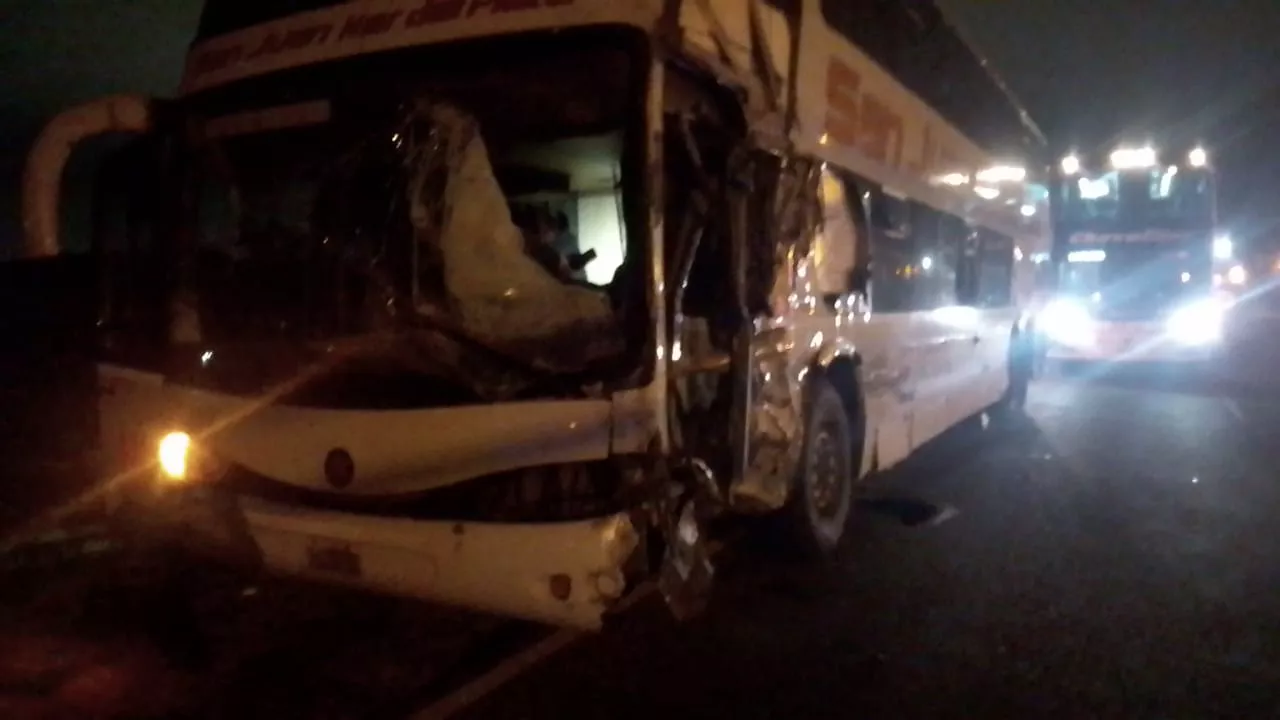 WhatsApp Image 2023-04-12 at 08.52.51 (1)