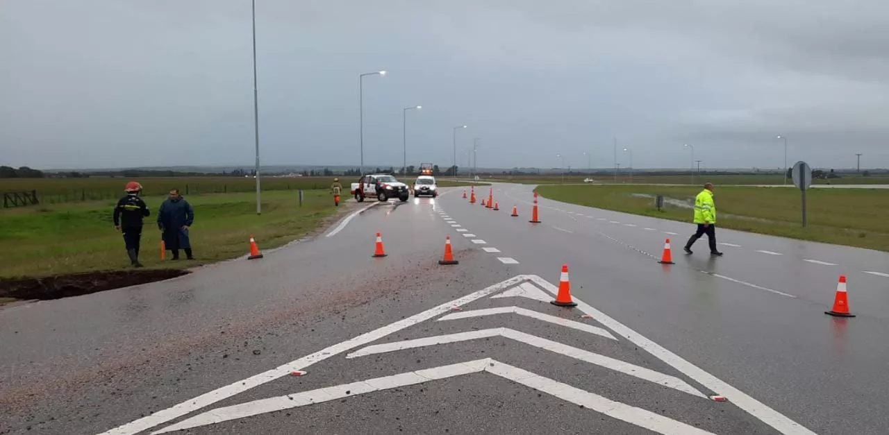 WhatsApp Image 2023-03-22 at 12.26.29 (2)