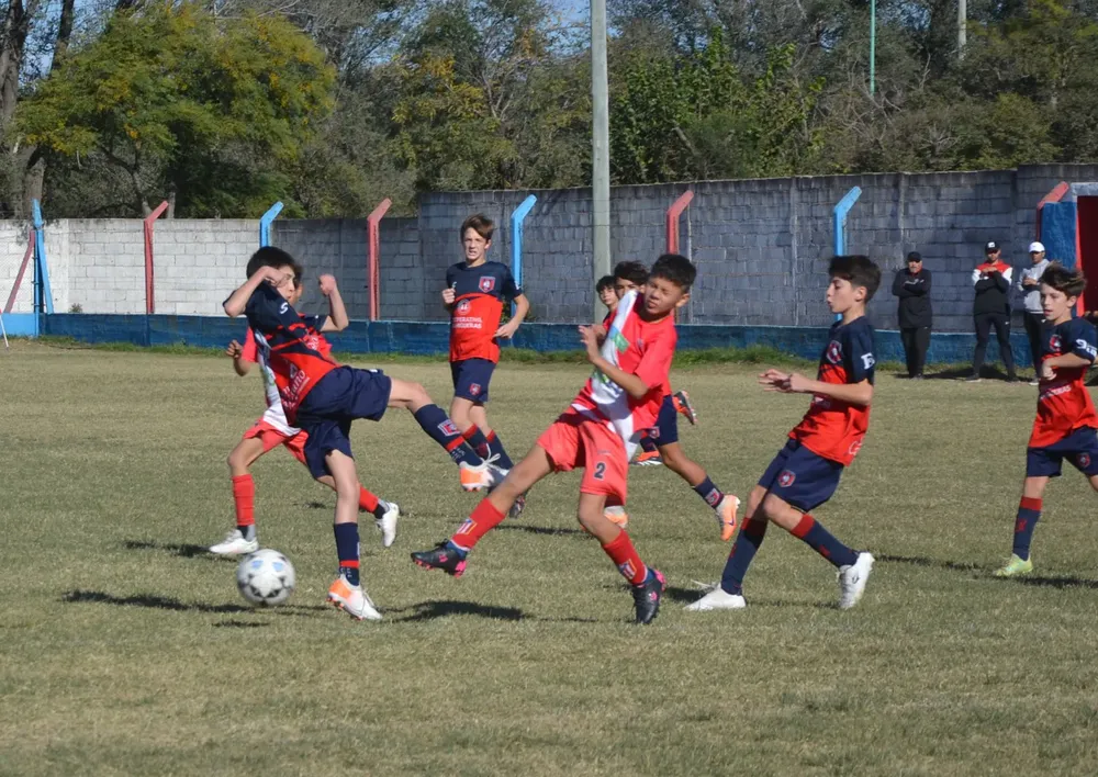 WhatsApp Image 2024-05-12 at 16.46.54