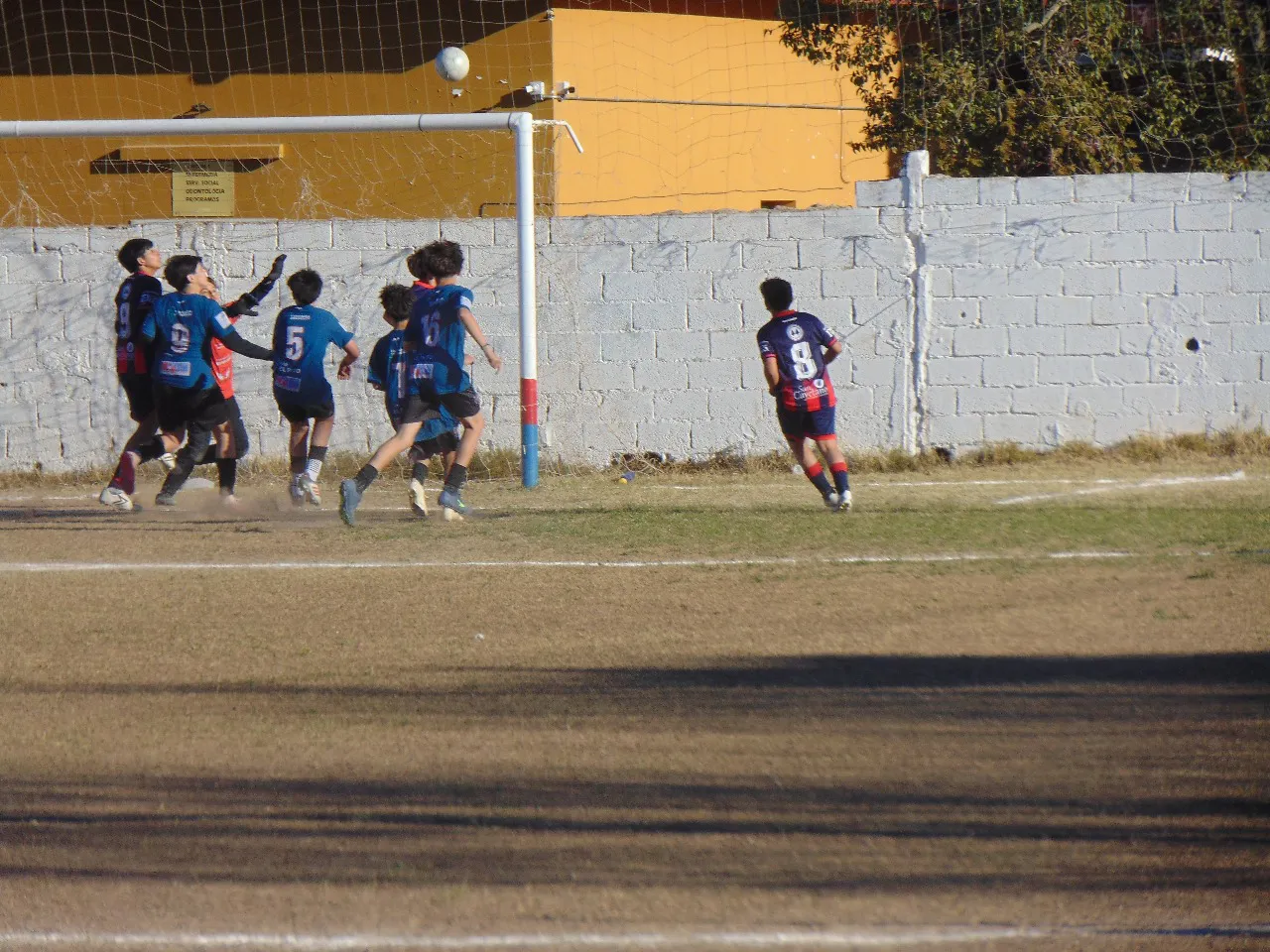 c51f3639bd4d4124a8f3b2d9a9bc52af