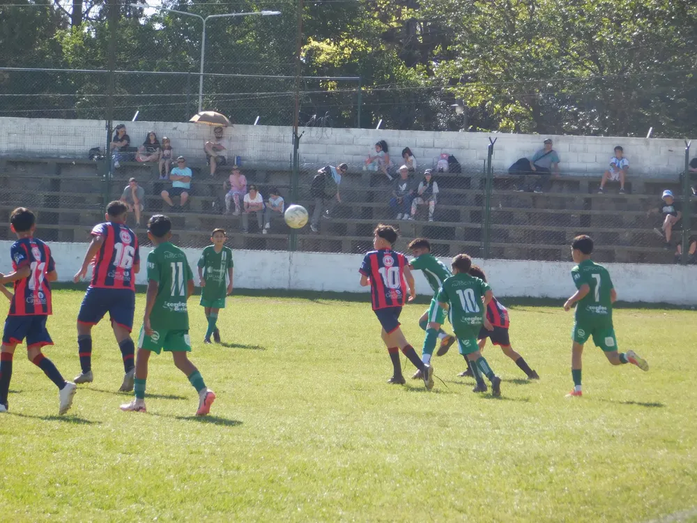 WhatsApp Image 2024-10-28 at 20.13.47 (23)