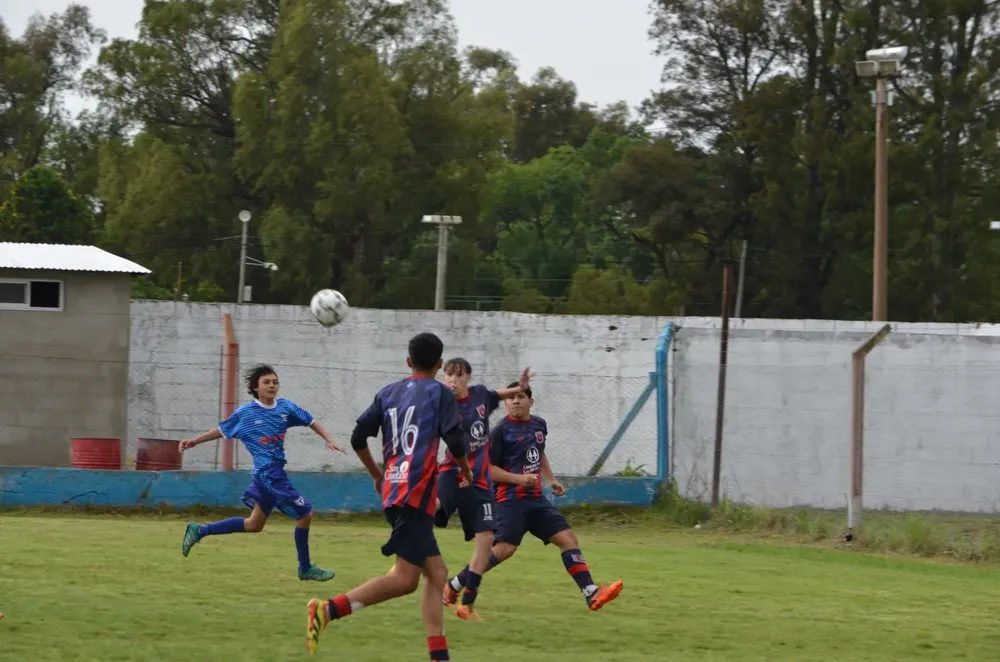 WhatsApp Image 2024-11-04 at 19.36.38 (4)