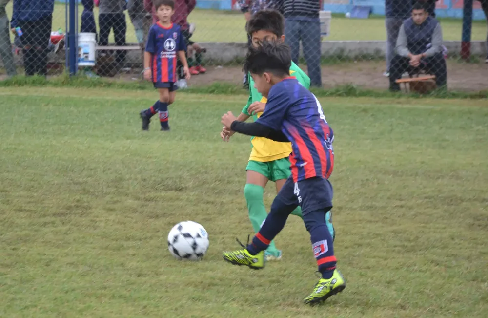 Centro Social B ACEFIC (53)