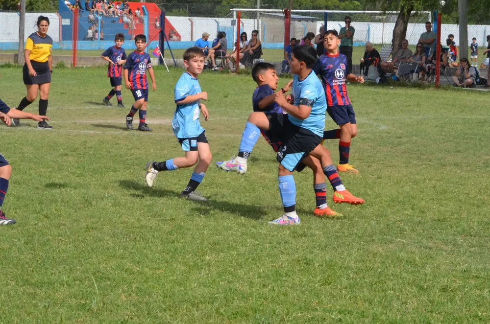 WhatsApp Image 2024-11-17 at 13.10.24 (8)