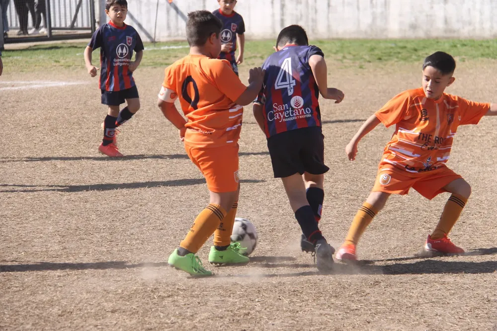 Centro Social Infanto Juvenil Renato Cesarini Olaeta Socialeritas (49)