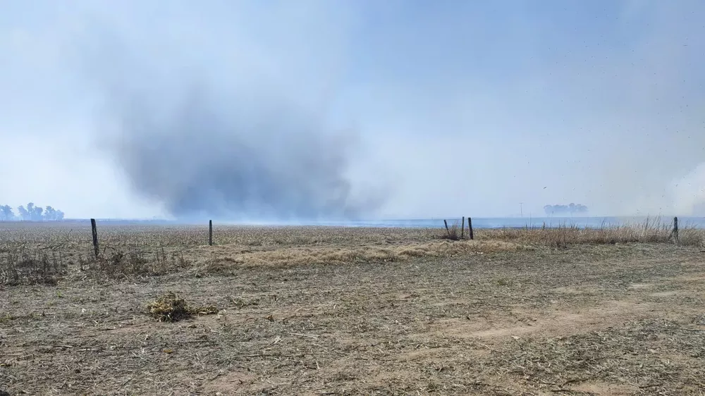 INCENDIO EN LA ZONA (2)