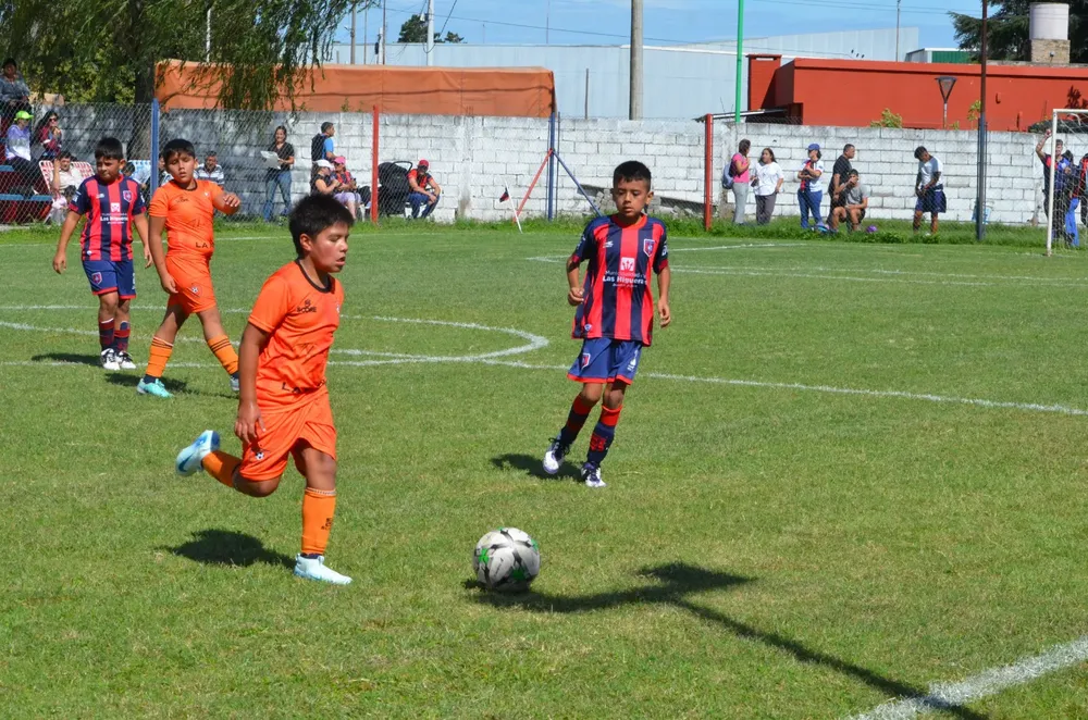 WhatsApp Image 2025-03-31 at 16.38.31 (2)