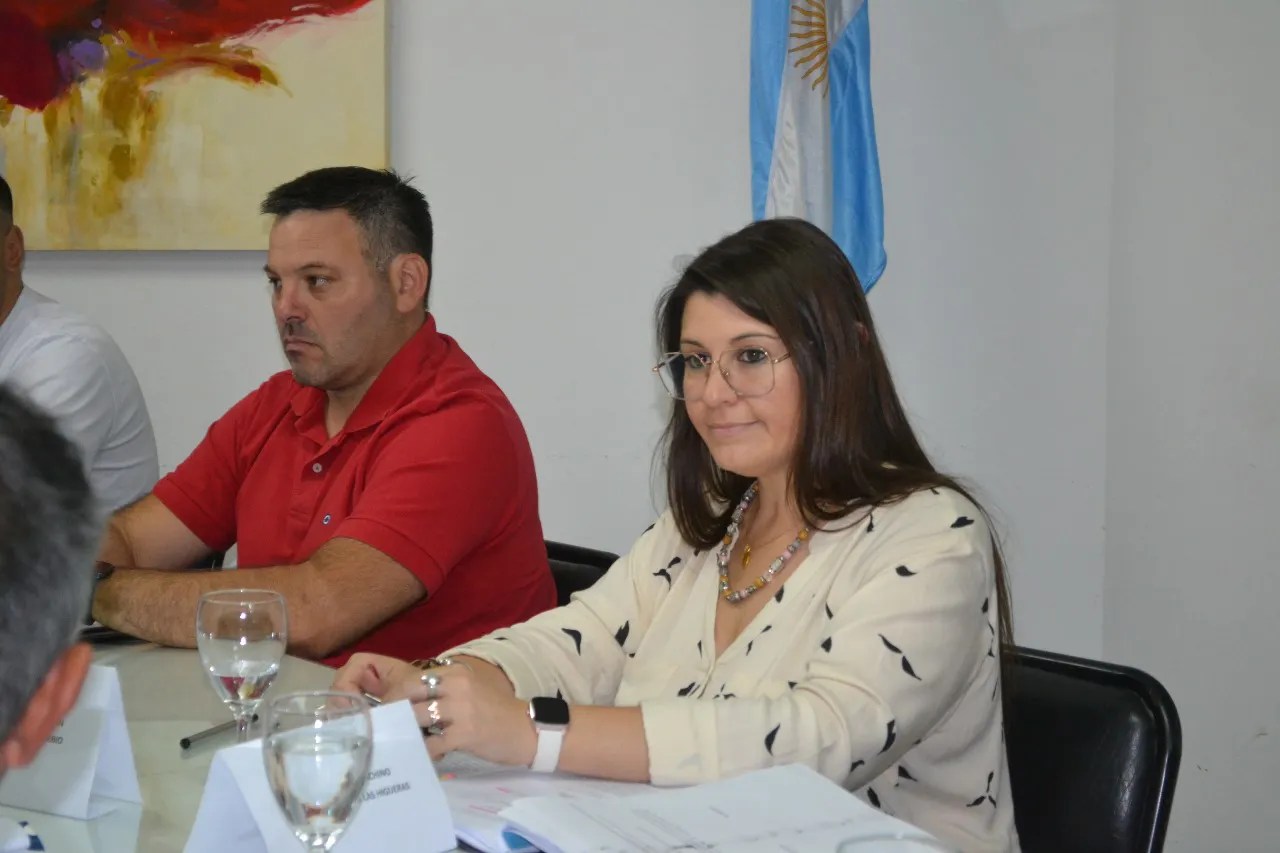 Concejo Deliberante Las Higueras  (20)