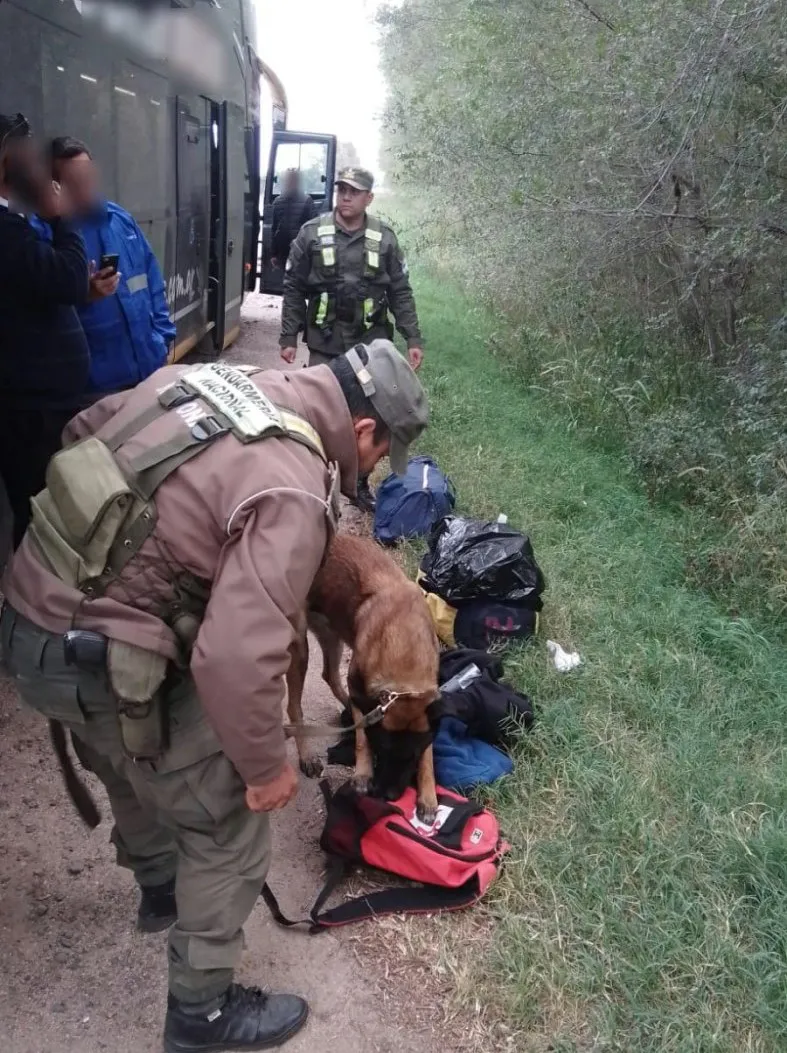 175486_1684873584_690