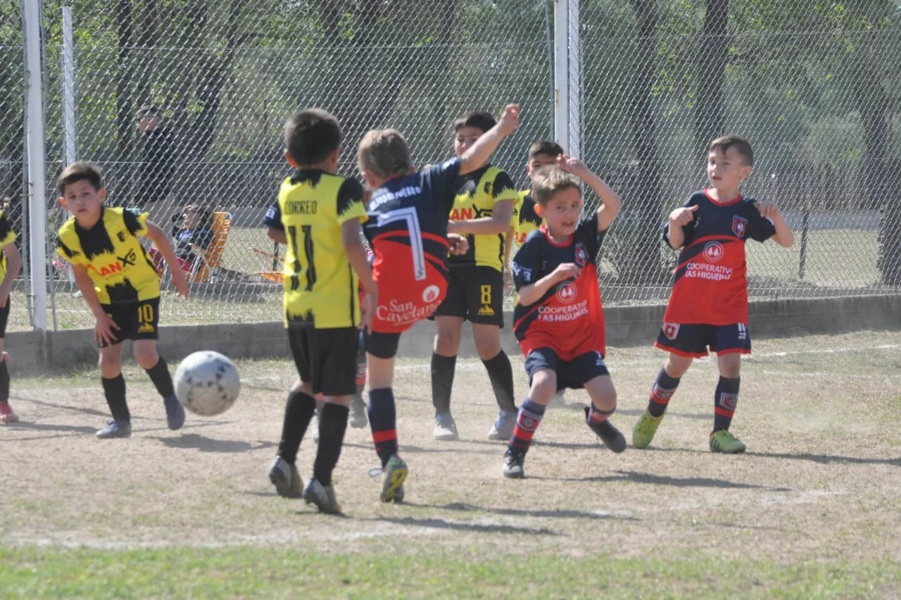 Centro Social Las Higueras Correos y Telecomunicaciones Deportivo Municipal Adela María (37)