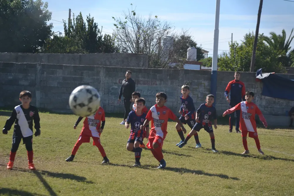 WhatsApp Image 2024-05-12 at 16.46.30 (1)