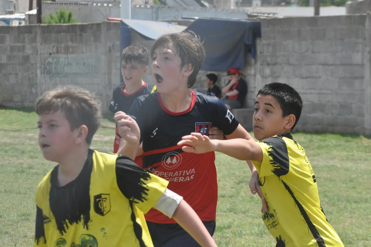 Centro Social Banda Norte B Correos y Telecomunicaciones (183)