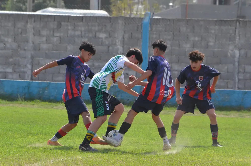 WhatsApp Image 2024-09-23 at 16.31.13 (3)