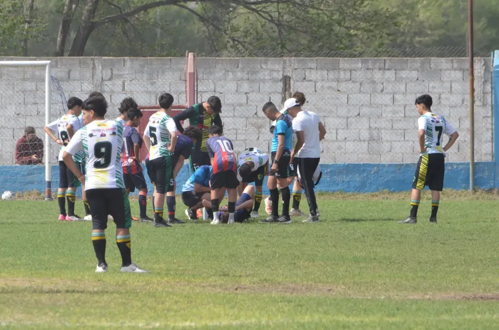 WhatsApp Image 2024-09-23 at 16.31.13 (5)