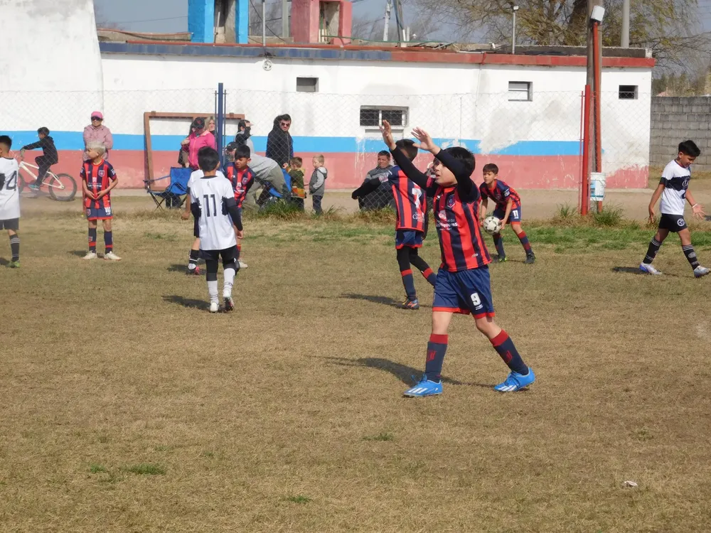 WhatsApp Image 2024-08-19 at 15.04.47 (27)