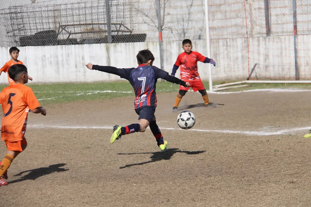 Centro Social Infanto Juvenil Renato Cesarini Olaeta Socialeritas (79)