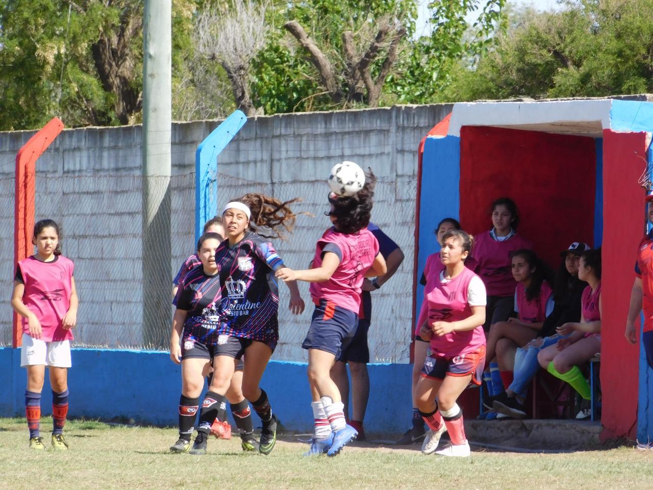 SOCIALERITAS (3)