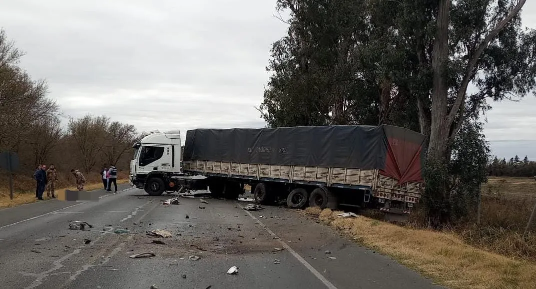 WhatsApp Image 2023-07-07 at 12.30.14