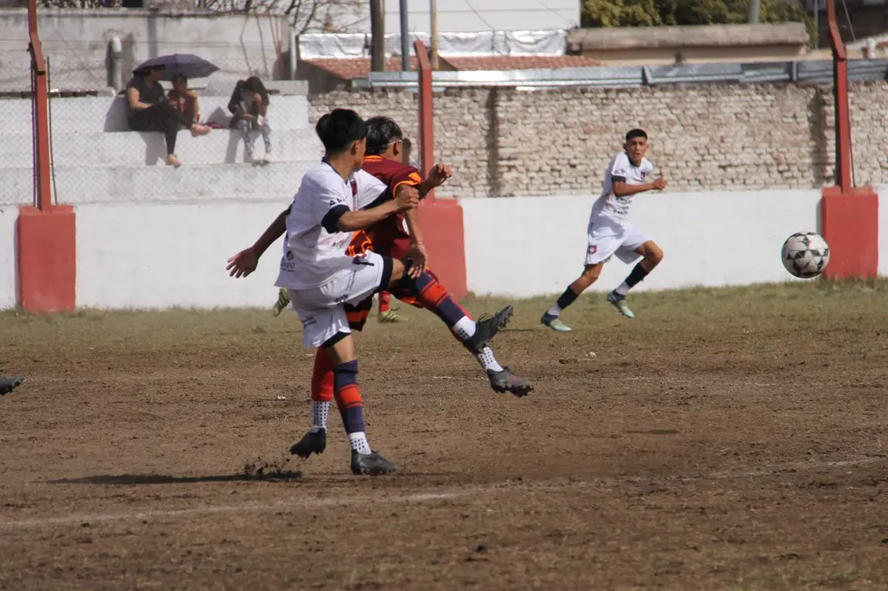 Municipal Centro Social  (6)