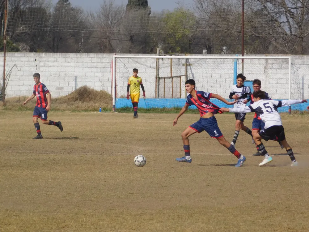 WhatsApp Image 2024-08-19 at 15.04.47 (10)