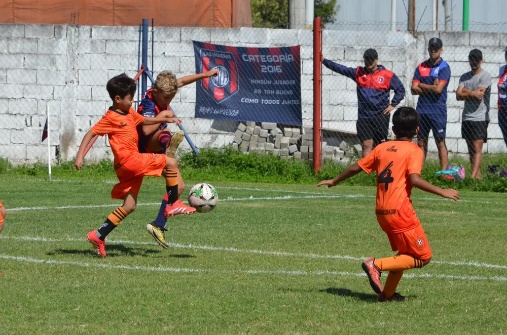 WhatsApp Image 2025-03-31 at 16.38.32