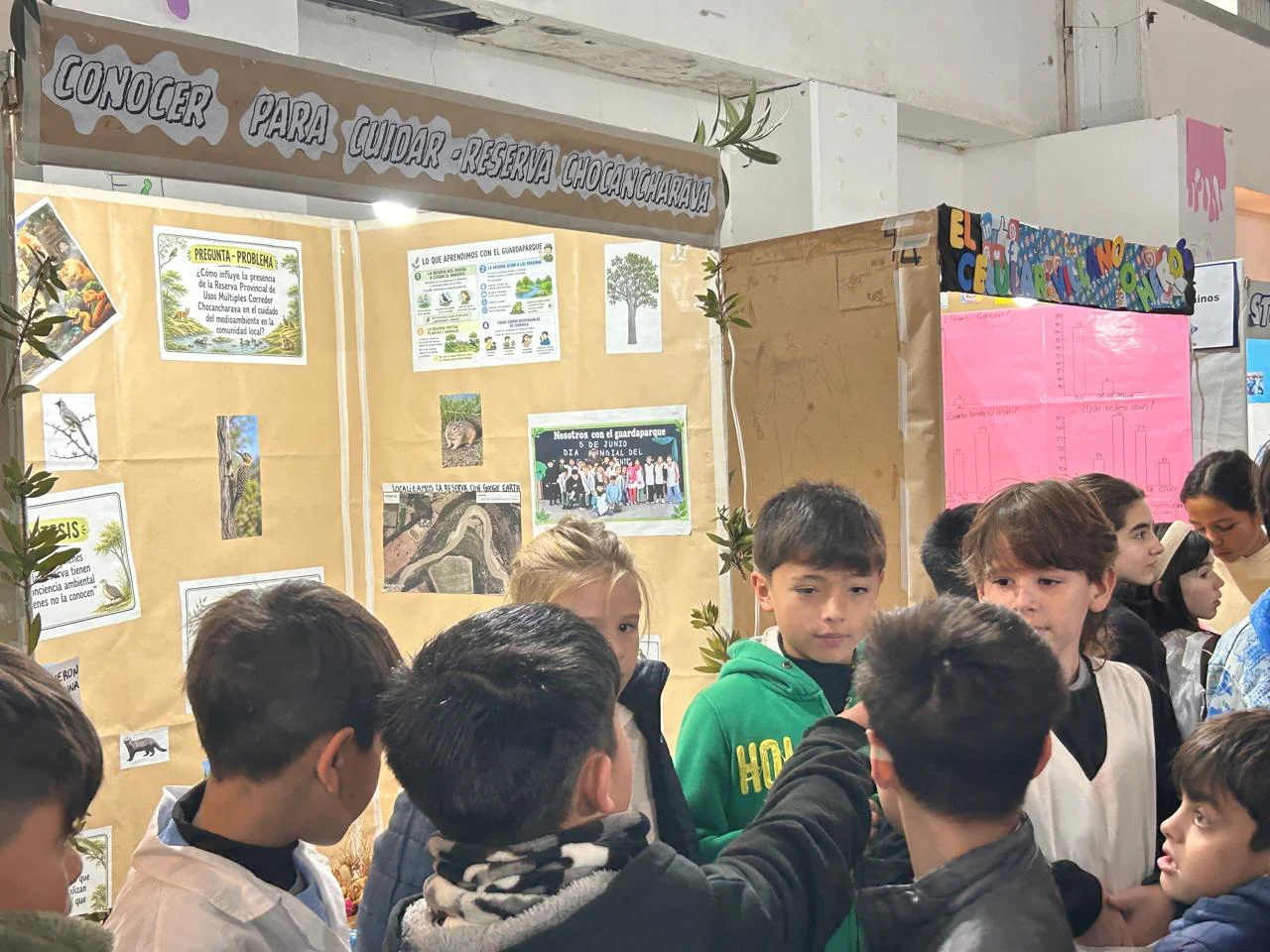 FERIA DE CIENCIAS (17)