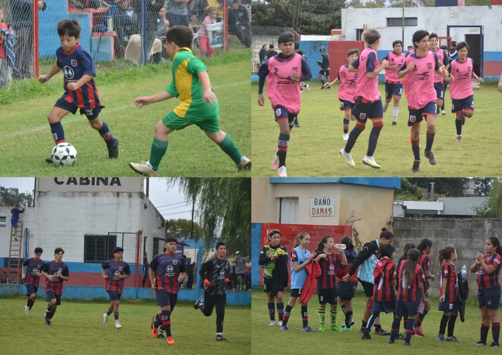 WhatsApp Image 2024-04-07 at 12.41.50