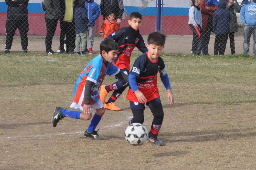 Centro Social Las Higueras Infanto Juvenil Ateneo Vecinos (98)