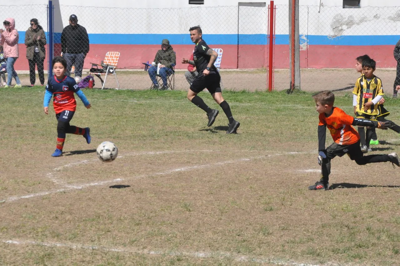 Centro Social Deportivo Municipal Acción Juvenil Socialeritas (87)