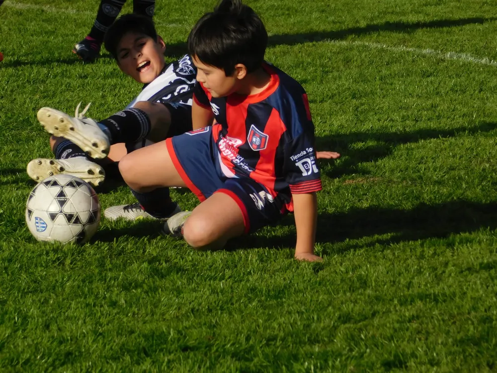 Centro Social Infanto Everton Banda Norte Socialeritas (178)