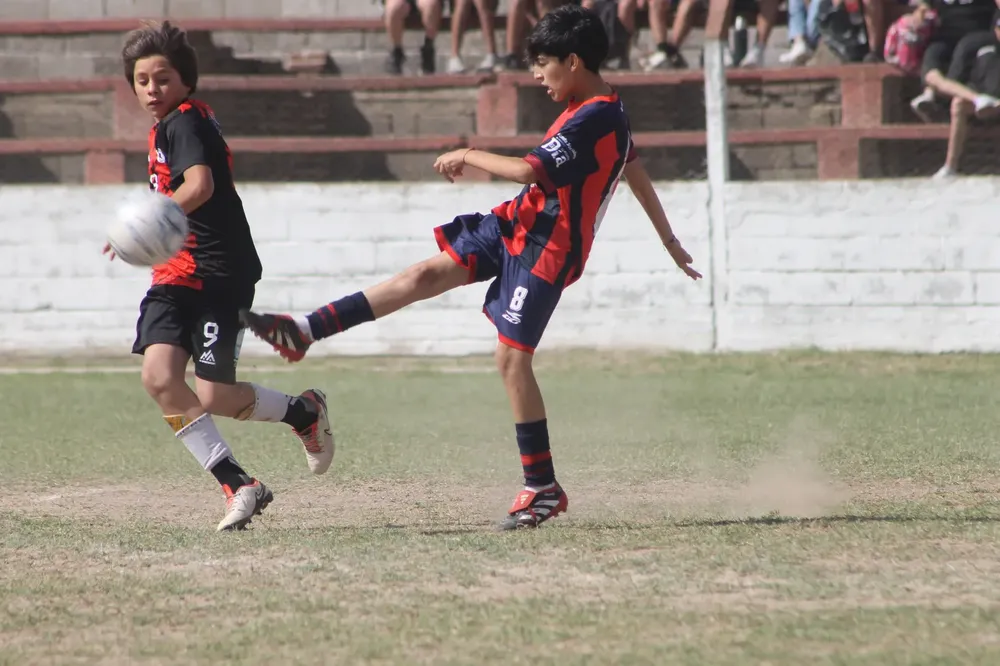 IMG-20251015-WA0033