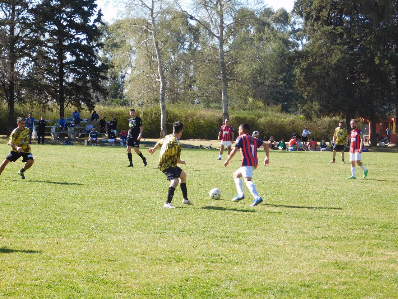 Profesionales Fecha 10 (2)