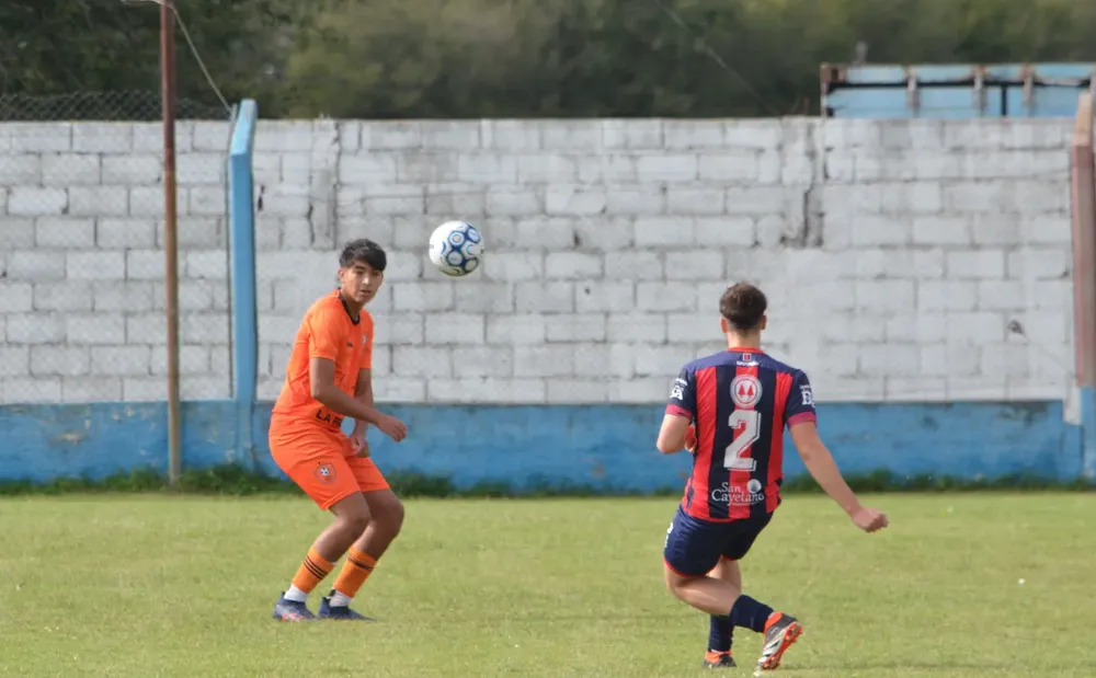 WhatsApp Image 2025-03-31 at 16.37.57