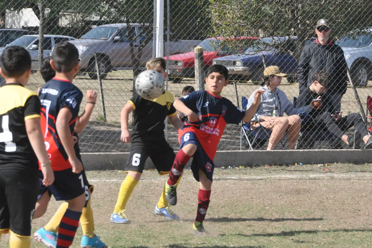 Centro Social Las Higueras Correos y Telecomunicaciones Deportivo Municipal Adela María (49)