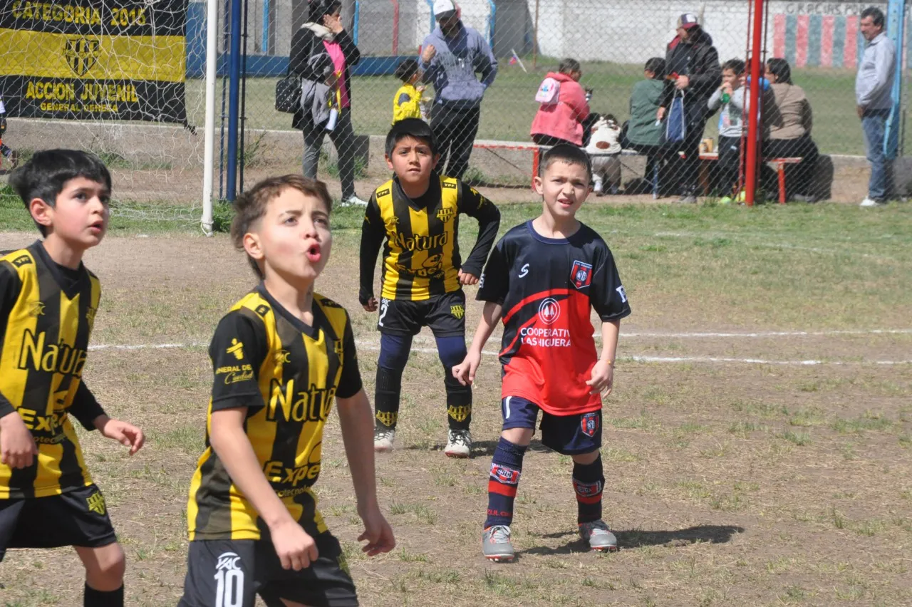 Centro Social Deportivo Municipal Acción Juvenil Socialeritas (72)