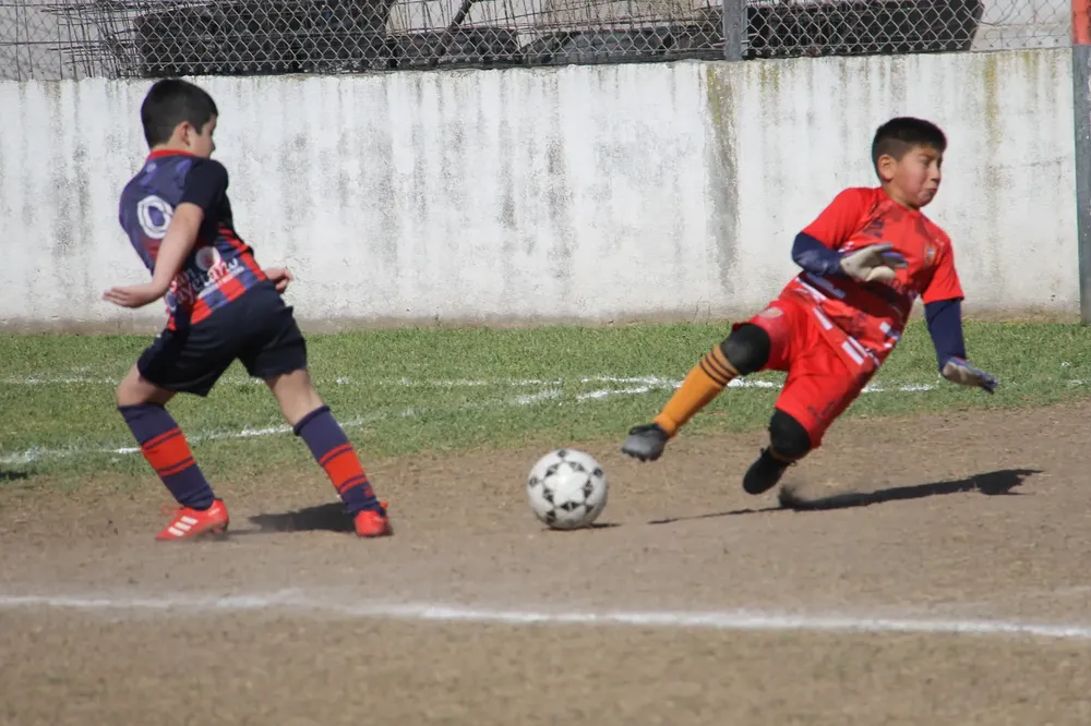 Centro Social Infanto Juvenil Renato Cesarini Olaeta Socialeritas (70)