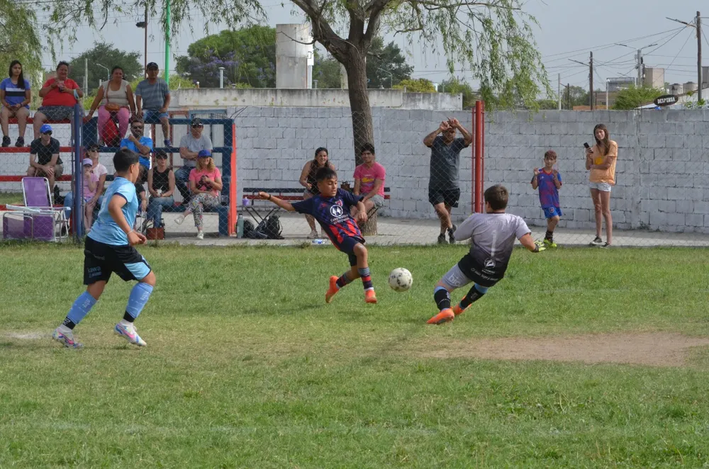 WhatsApp Image 2024-11-17 at 13.10.25