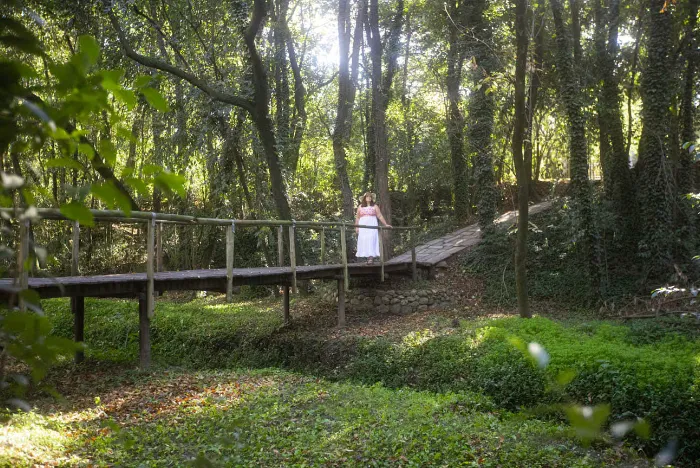 Captura de pantalla 2024-08-24 181235