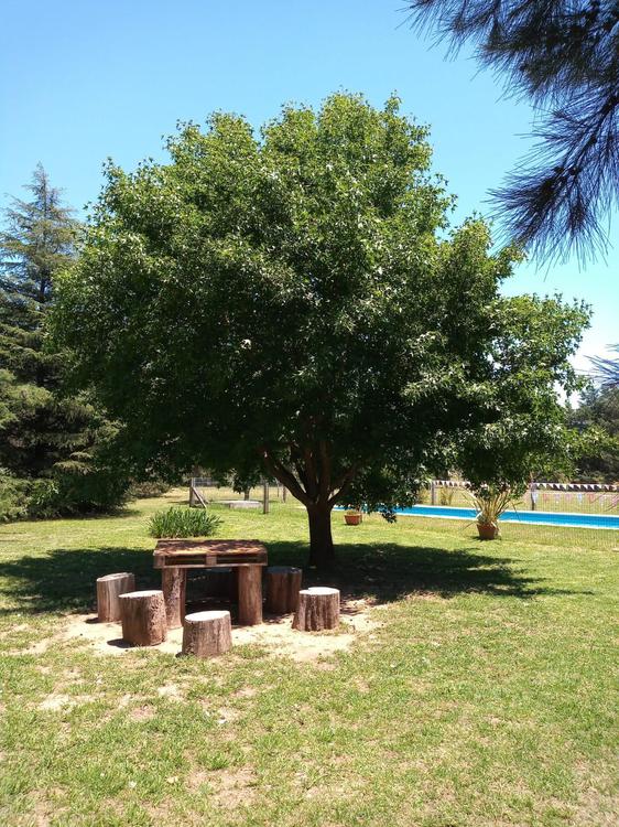 ESPACIO NATURAL (1)