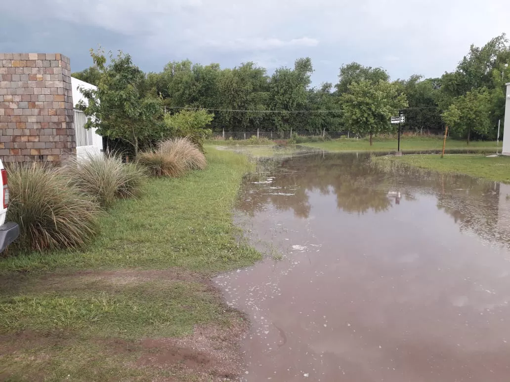 WhatsApp Image 2022-06-21 at 11.41.47 PM (1)