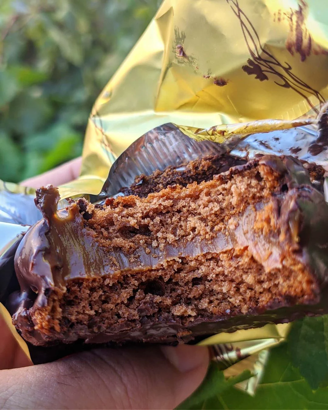 117291563_3298669266856121_1583716062659179653_n