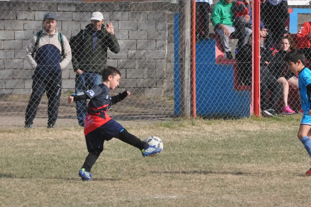 WhatsApp Image 2023-07-02 at 13.33.40 (8)