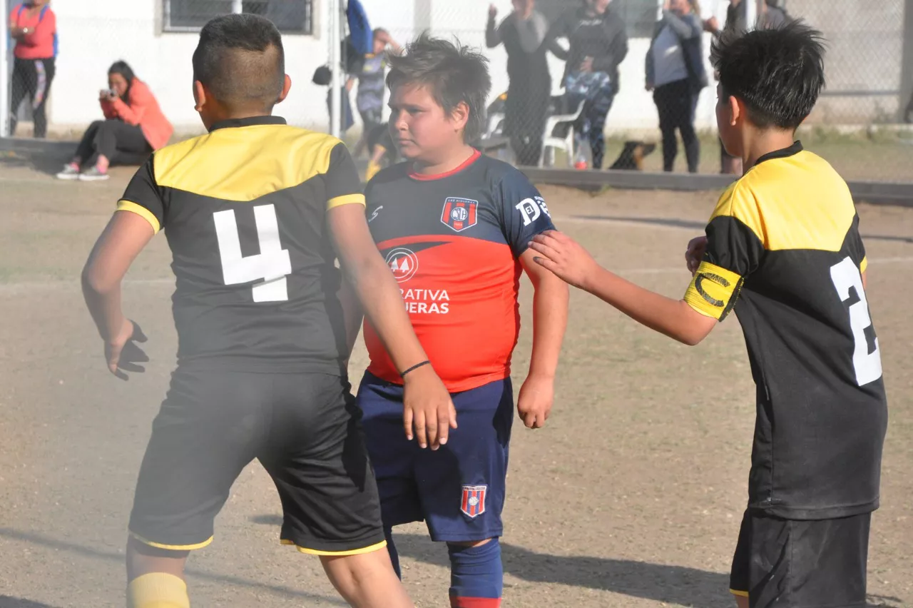 Centro Social Las Higueras Correos y Telecomunicaciones Deportivo Municipal Adela María (113)