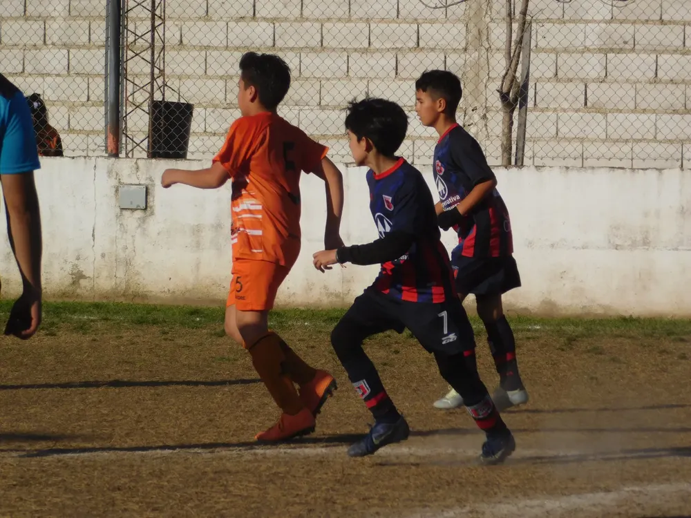 Centro Social Infanto Juvenil Renato Cesarini Olaeta Socialeritas (184)