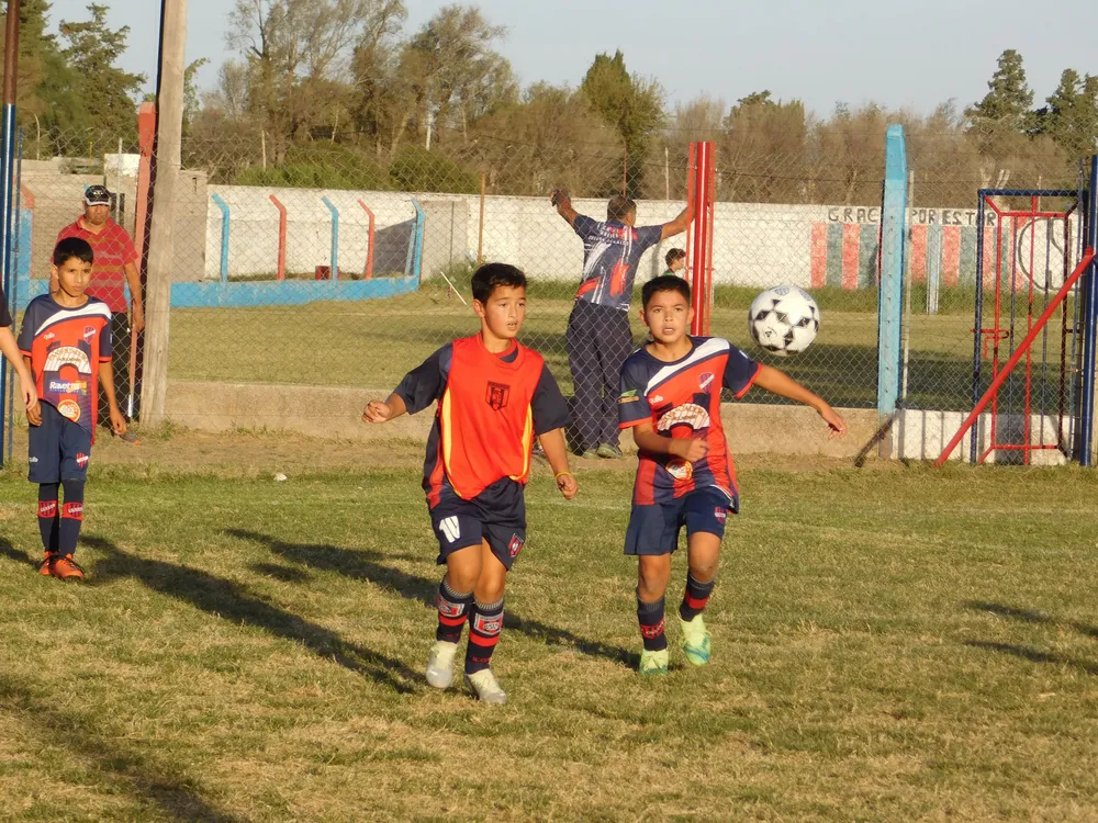 Infantiles Juveniles Centro Social San Lorenzo Bulnes Ateneo Vecinos Argentinso Jrs (130)