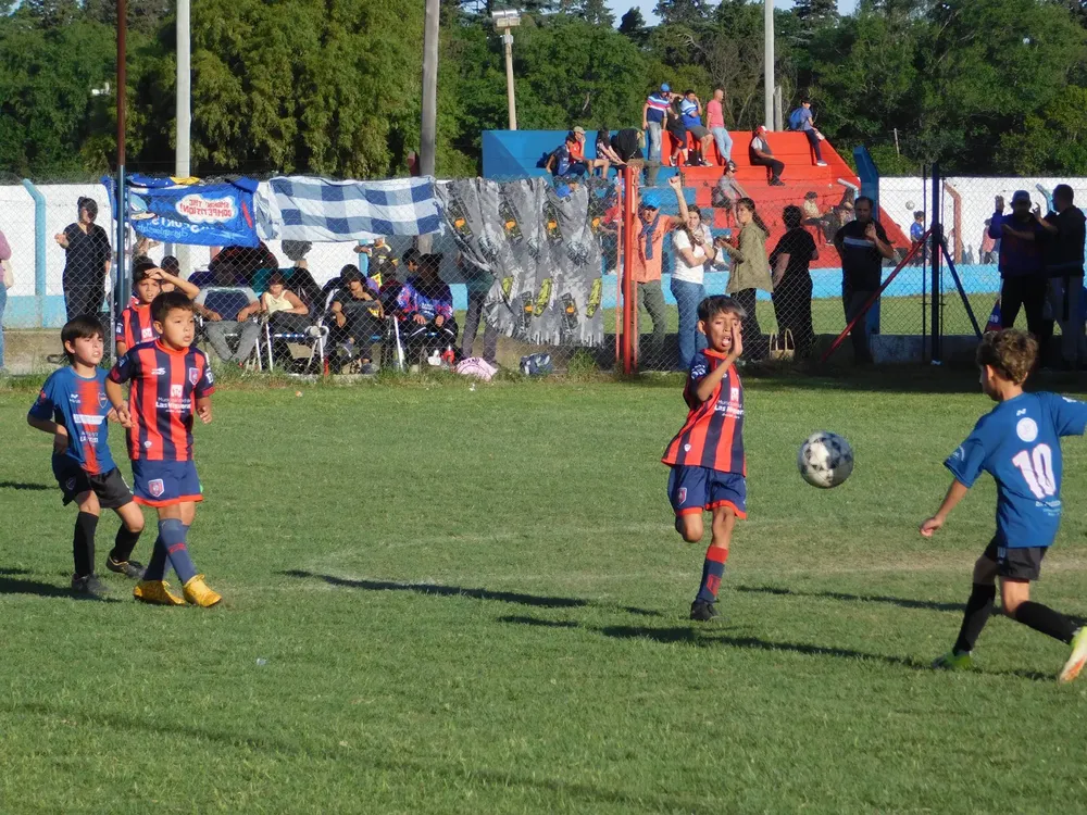 WhatsApp Image 2024-11-04 at 19.12.47 (17)