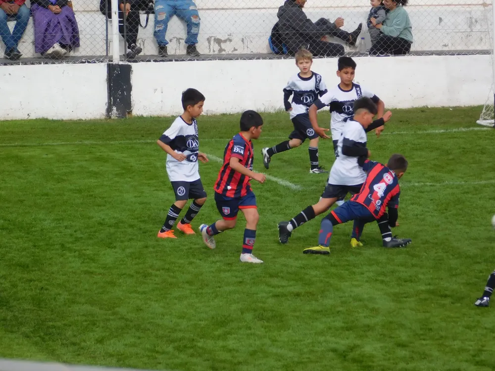 Centro Social Infanto Everton Banda Norte Socialeritas (120)