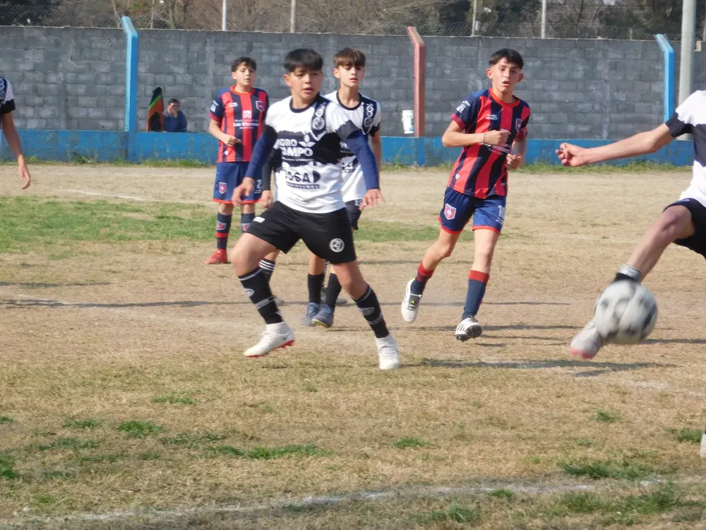 WhatsApp Image 2024-08-19 at 15.07.52 (9)