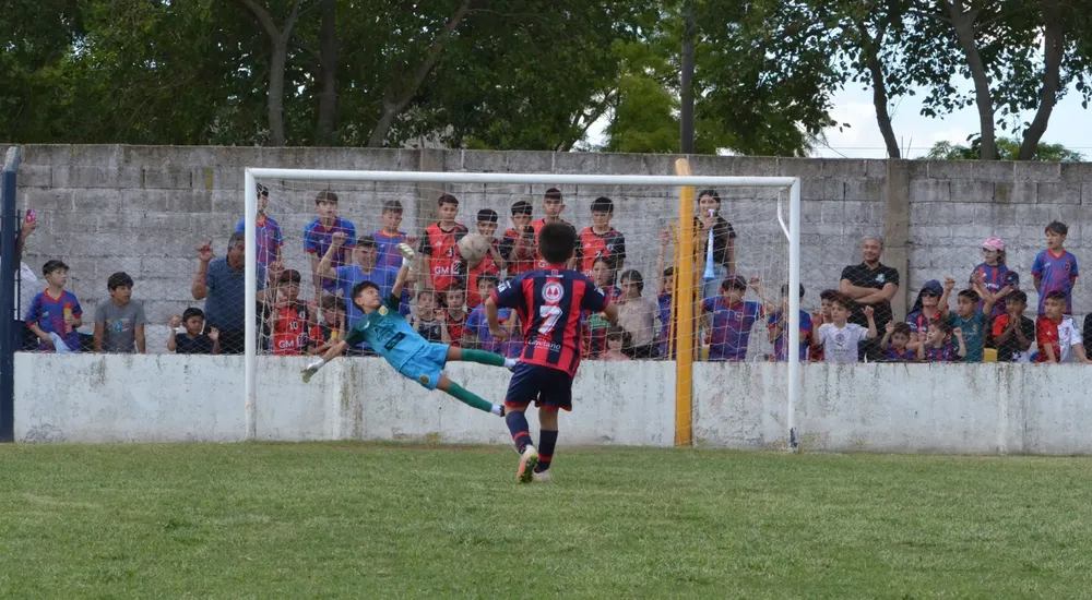 WhatsApp Image 2025-11-08 at 20.54.20 (11)